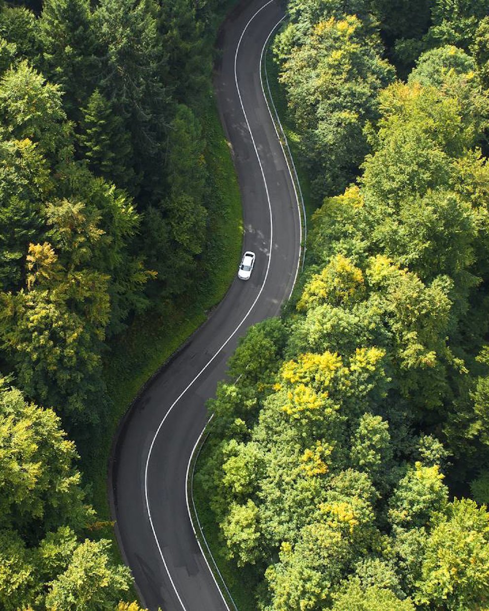Car driving a winding road through woods
