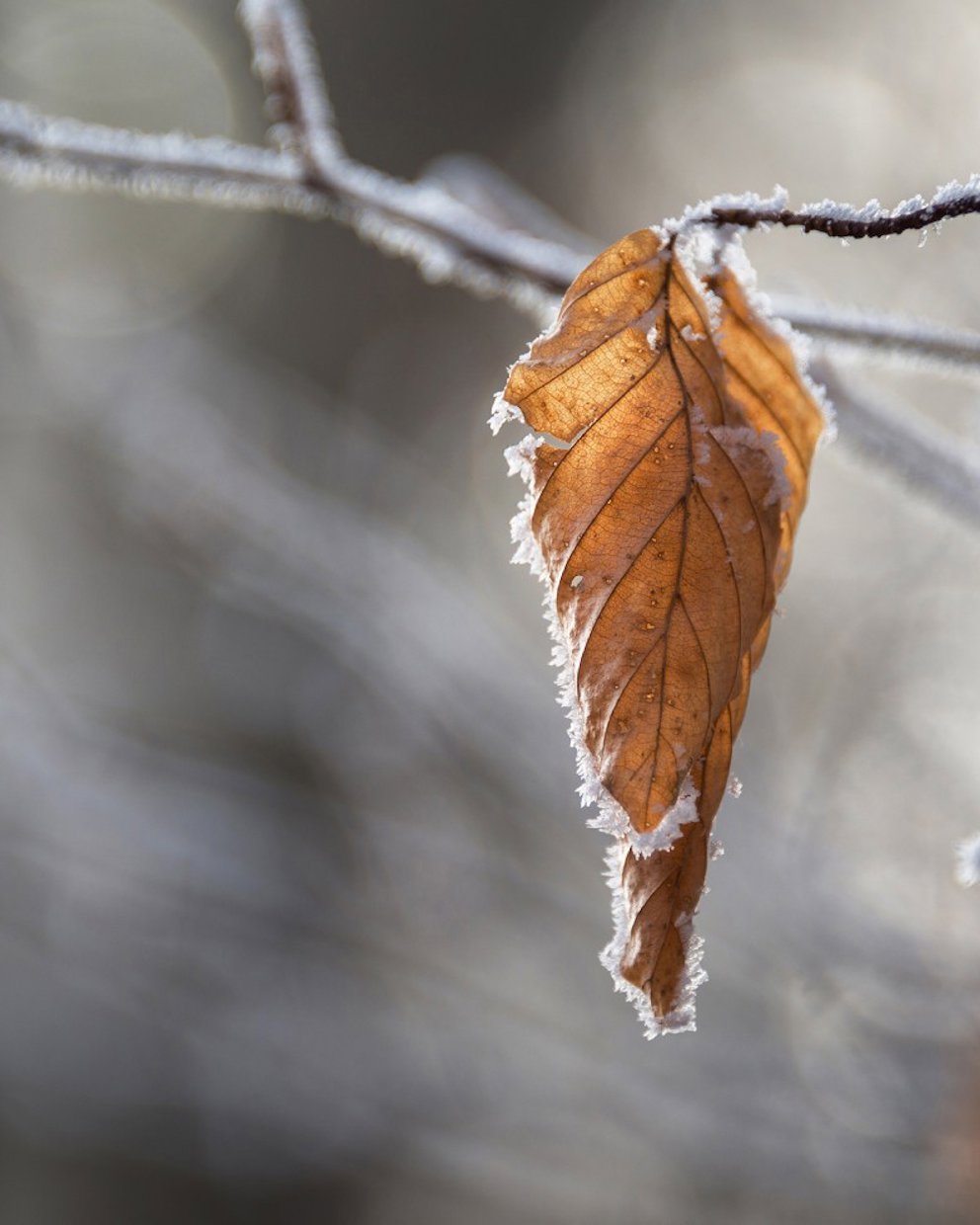 Aluminium gets stronger in the cold